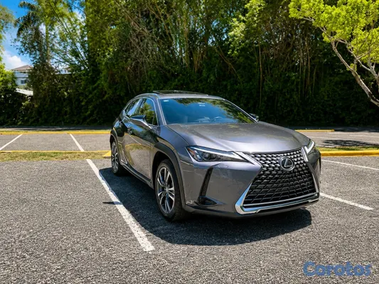 jeepetas y camionetas - Lexus UX300h 3