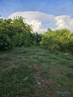 solares y terrenos - MARAVILLOSOS TERRENOS-UN PARAISO EN RINCON YACO ST 8