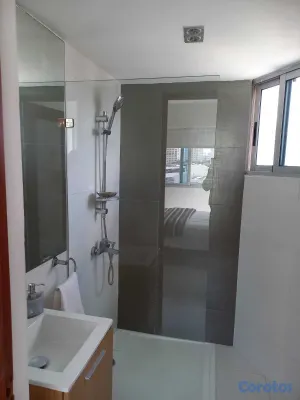 apartamentos - Apartamento amueblado en alquiler a Novocentro Dis 2