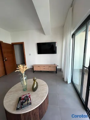 apartamentos - ¡Apartamentos Amueblados en Alquiler en las Mejore 14