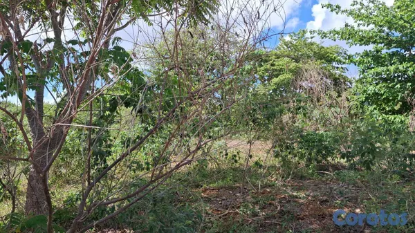 solares y terrenos - 🌴 TERRENO EN VENTA EN LAS GALERAS — A SOLO 320 MET 6