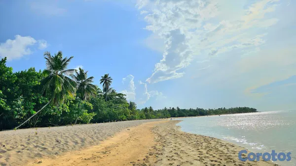 casas - VILLA COLIBRÍ – EL LIMÓN, SAMANÁ (R.D.) 💰 Precio : 17