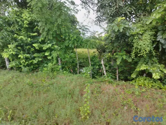solares y terrenos - finca perfecto para casa campestre en bayaguana  4