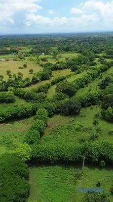 solares y terrenos - Terreno de 1,037,625 m² en venta en La Victoria 8