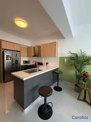 apartamentos - Alquiler Apartamento Amueblado | La Esperilla  9