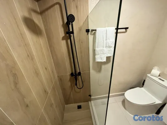 apartamentos - Alquiler Apartamento Amueblado En Naco 7
