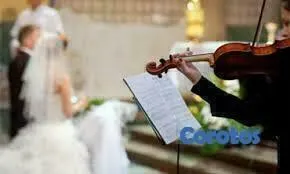 servicios profesionales - Para sus fiestas, Bodas y Quinceaños,  violinistas 5
