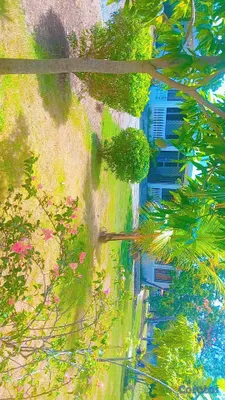 casas vacacionales y villas - 🏡🔥 ¡OPORTUNIDAD ÚNICA EN JUAN DOLIO H3! CASA EN VENTA CON AMPLIO TERRENO Y Tít 11