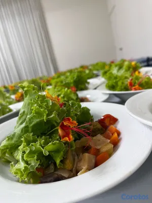 servicios profesionales - ¡Que tu evento se recuerde por el sabor! Buffet en Santiago 4