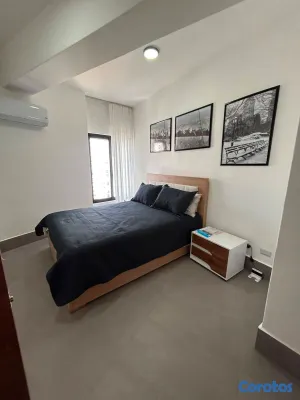 apartamentos - ¡Apartamentos Amueblados en Alquiler en las Mejore 18