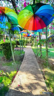 otros inmuebles - Hotel boutique en venta en Samaná 11