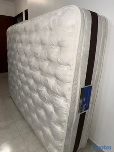 colchón Accord Serta Queen