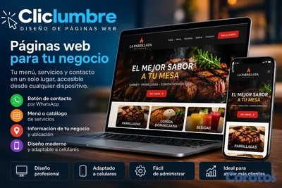 Diseño de Páginas Web Profesionales para Negocios 