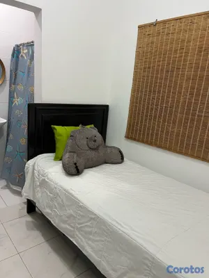 muebles y colchones - cama en caoba  3