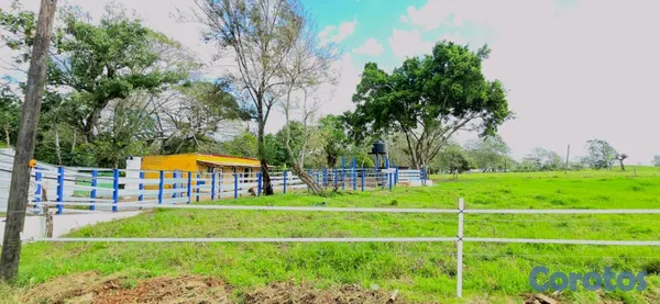 solares y terrenos - hacienda ganadera en Monte playa  10