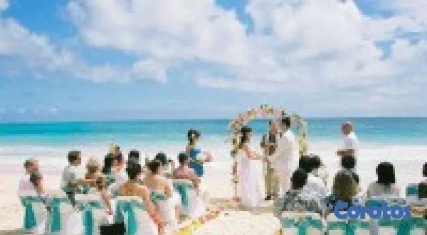 servicios profesionales - Para sus fiestas, Bodas y Quinceaños,  violinistas 3