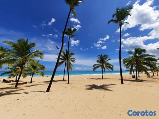 apartamentos - Residencias en Venta en Punta Cana — White Sands d 2