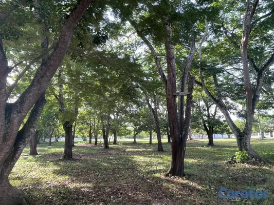 apartamentos - Apartamento en proyecto cerrado frente al  área ve 5