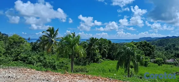 solares y terrenos - Terrenos a sola 4 minutos de Playa Rincón.  4