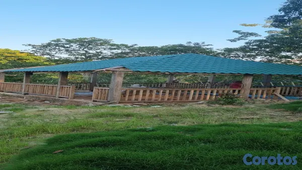 solares y terrenos - En Venta Finca Agricola en Villa Altagracia con Cacao, Aguacate y chinola 8