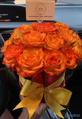 servicios profesionales - Tetefloristeriard  3