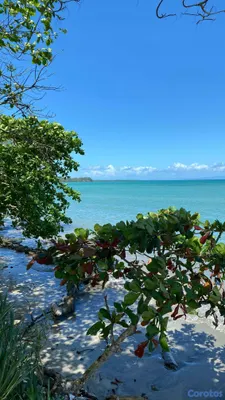 solares y terrenos - Solar de 26,793 m² en 1ra Línea de Playa - Miches 8