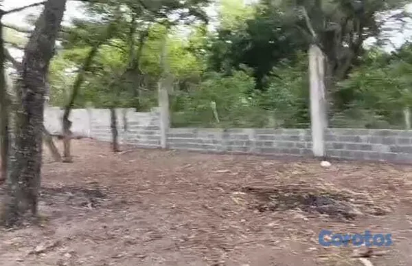 solares y terrenos - VENDO ESTE HERMOSO SOLAR DE PLAYA EN HAINA NIGUA 2