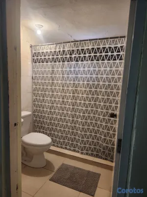 apartamentos - Alquiler Estudio Amueblado, Cuidad Nueva 7