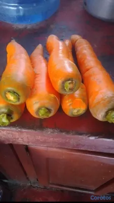 herramientas, jardines y exterior - Fertilizantes Orgánico liquido a campo abierto y I 5