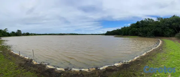 solares y terrenos - 🌿 ¡Descubre el Paraíso Natural en Lagos de los Reyes! San Antonio de Guerra. 6