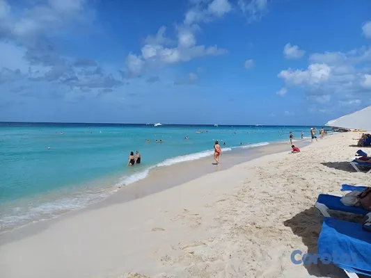 solares y terrenos - Venta Terreno, Solar en Dominicus, Ballaybe la Rom 5