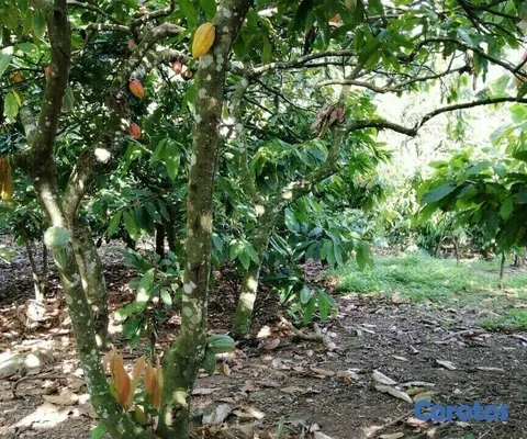 solares y terrenos - Se Vende finca de Cacao en San Fco. De Macoris
 8