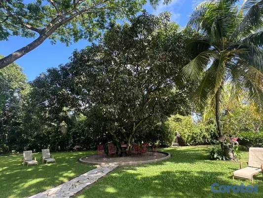 casas - Mansion En Puñal Tu Finca Privada  12