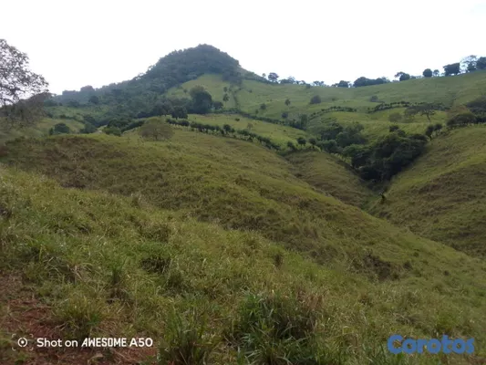 solares y terrenos - finca de 450 tareas con vocación ganadera en yamasa  9