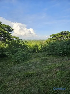 solares y terrenos - MARAVILLOSOS TERRENOS-UN PARAISO EN RINCON YACO ST 4