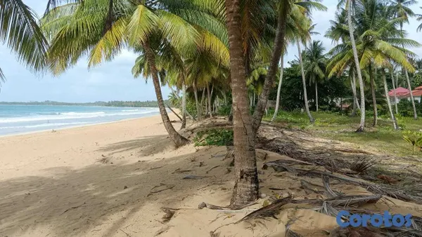solares y terrenos - Terreno en 1ra Línea en Playa Cosón - Las Terrenas 2