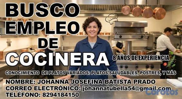candidatos -  estoy buscando empleo de conserje o cocinera  2