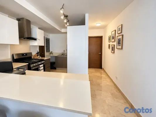 apartamentos - APARTAMENTO EN VENTA EN NACO 10