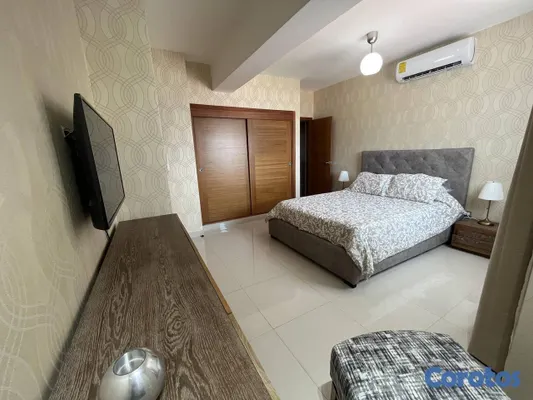 apartamentos - Apartamento en Alquiler en Piantini Amueblado de U 16
