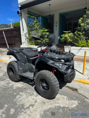 motores y pasolas - Loncin forweels 2025  11