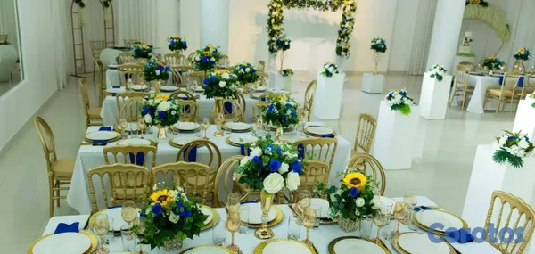 servicios profesionales - Decoración de Eventos en Higüey y Punta Cana: Boda 4