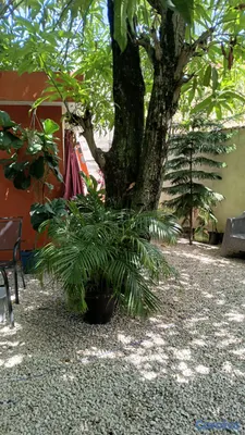 casas - CASA DE OPORTUNIDAD PARA INVETIR O VIVIR EN URBANIZACION MAXIMO GOMEZ 8