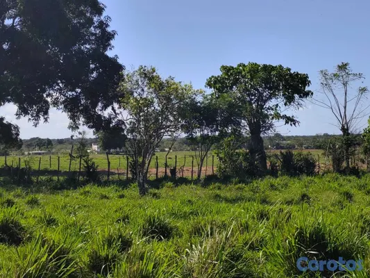 solares y terrenos - FINCA GANADERA EN HIGÜEY - 1,000 TAREAS 💰 📍 PRECIO 5