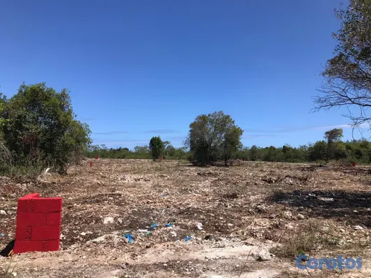 solares y terrenos - Terreno detrás de Espalliat Motors Punta Cana 7
