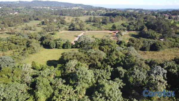 solares y terrenos - Venta de Terreno en Buena Vista en Jarabacoa  7
