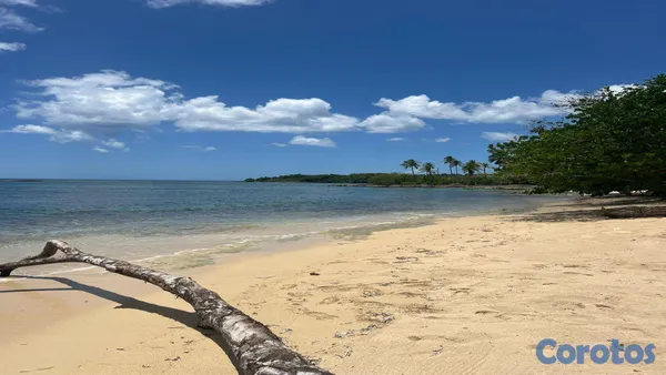 solares y terrenos - Terreno en venta en Río San Juan cerca de Playa Los Minos y Laguna Gri-Gri 6