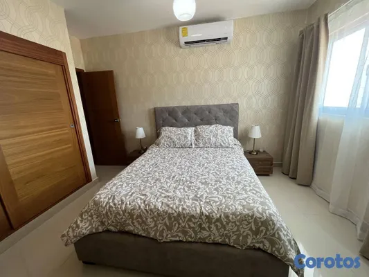 apartamentos - Apartamento en Alquiler en Piantini Amueblado de U 17