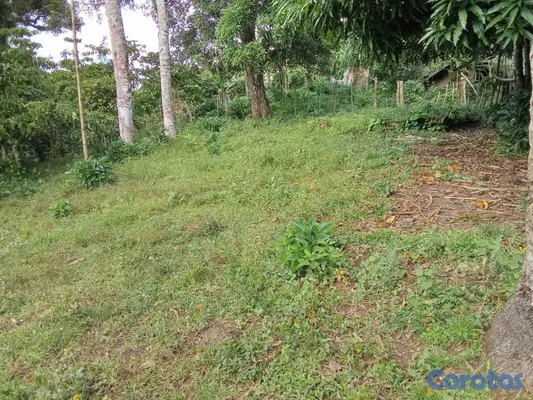 solares y terrenos - finca en venta en samana 50 tarea aproximadamente 275 mil por metro negociable 5