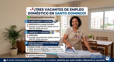Busco domésticas en SD, ver descripción 
