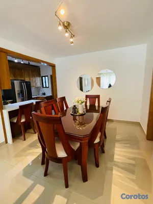 apartamentos - Apartamento amueblado en Santiago - Primer Nivel c 18